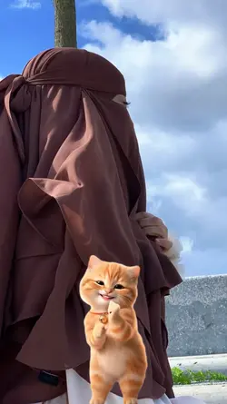 kucing viral