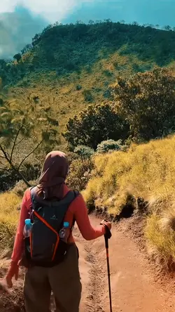AKAN AKU TELUSURI