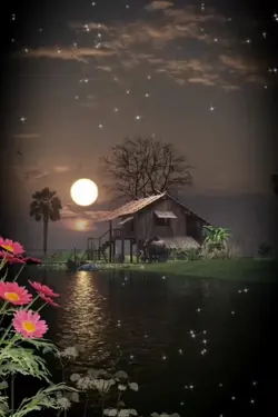 Selamat malam 