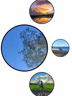 AestheticCircleTrend