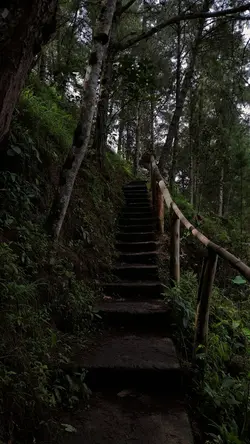 ku tak terbayang 