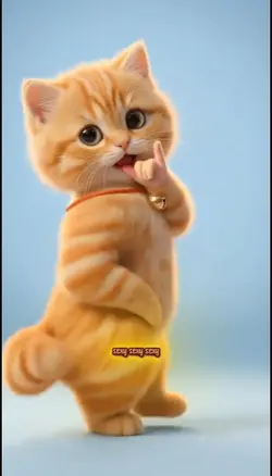 Cute dancing cat