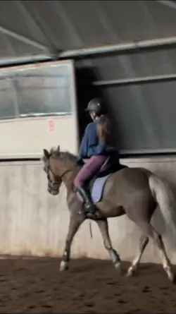 Slowmo 💗🦄