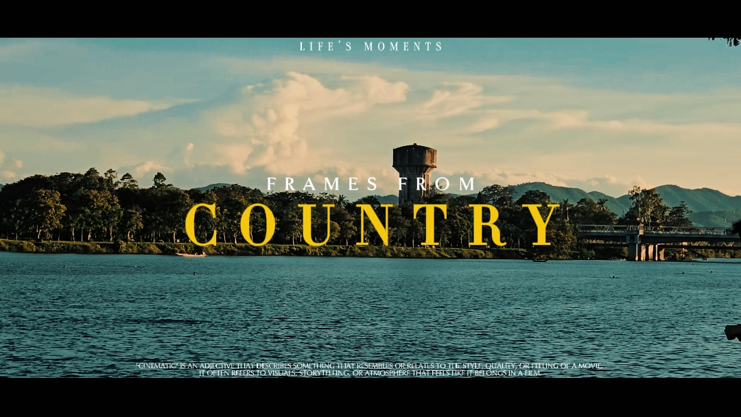 Daily Cinematic 