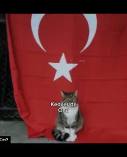 Atatürk'ün anısına