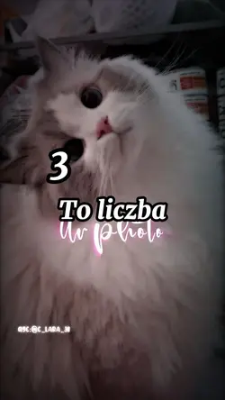 3 to liczba nie…