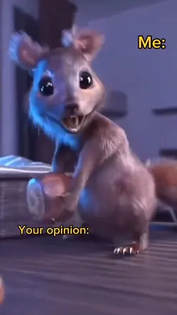 Your opinion 