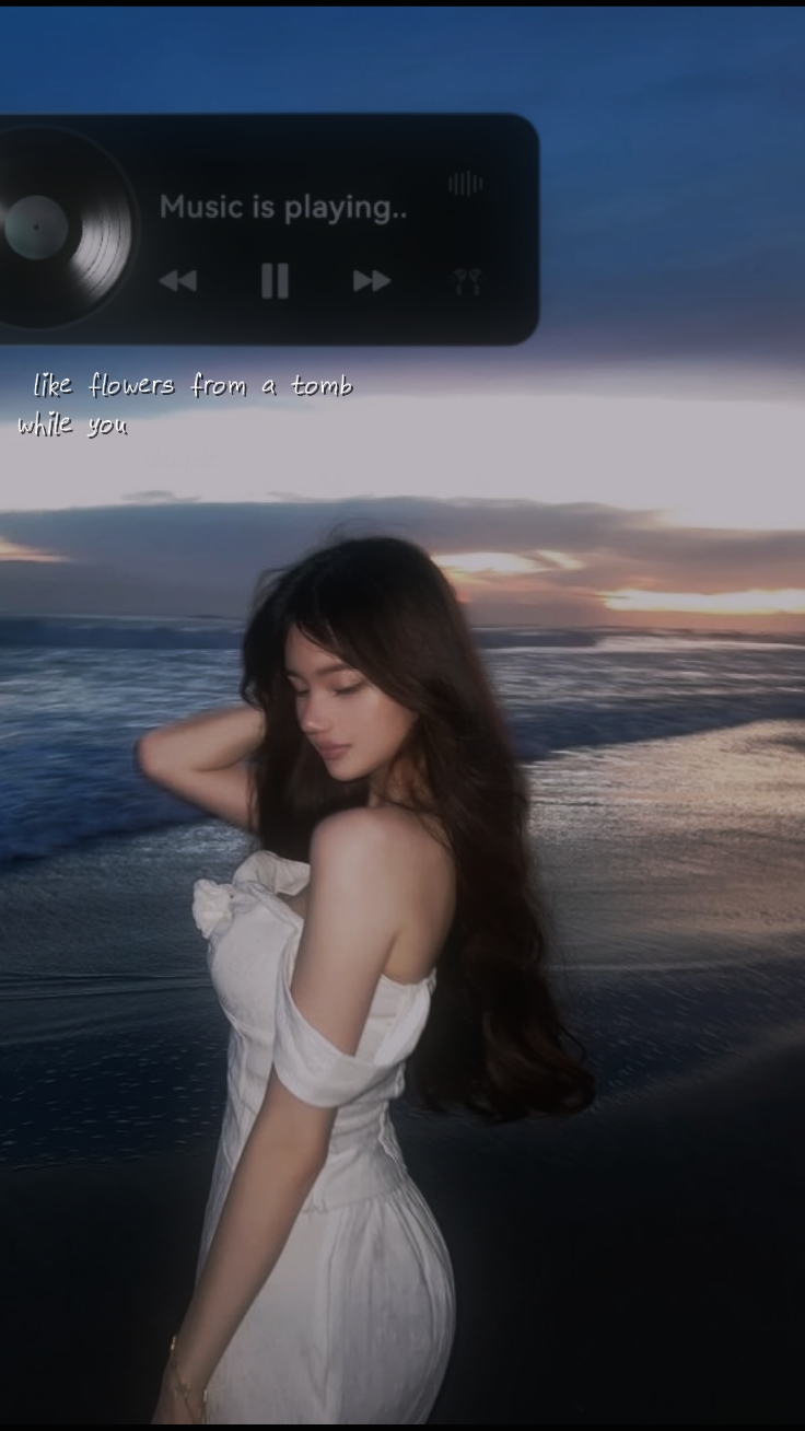 1 clip photo 