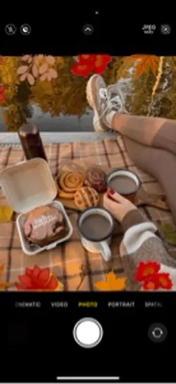 Fall/Autumn Dump 🍁