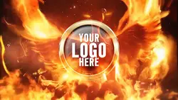 Fenix BrandVibe
