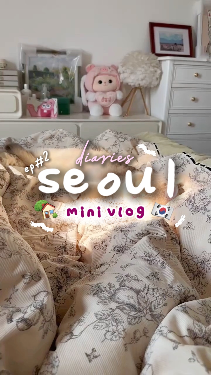 vlog intro