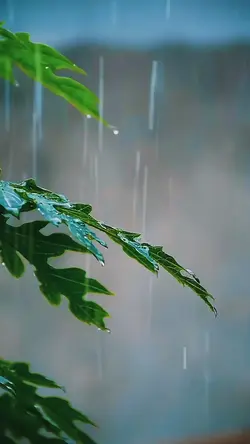 hujan aesthetic 