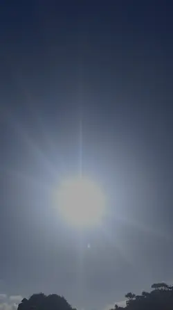 venus es paz