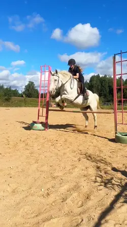 we live in cities 🌃✨