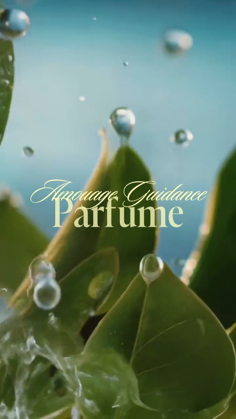 Perfume