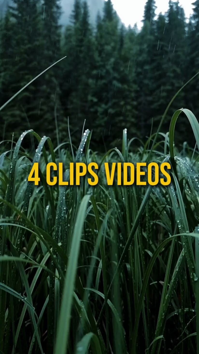 CINEMATIC 4 VIDEOS