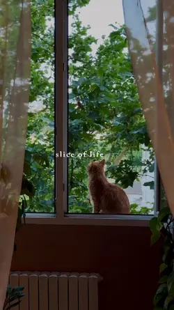 slice of life