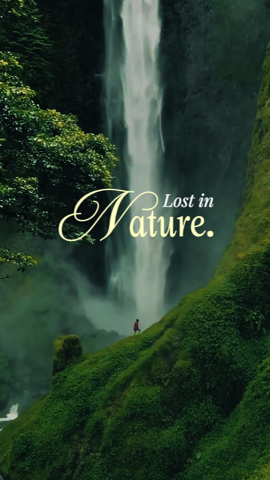 Lost in nature