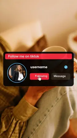 INTRO PROFI