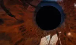 Eye 👁️ trending 