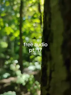 free audio pt. 17