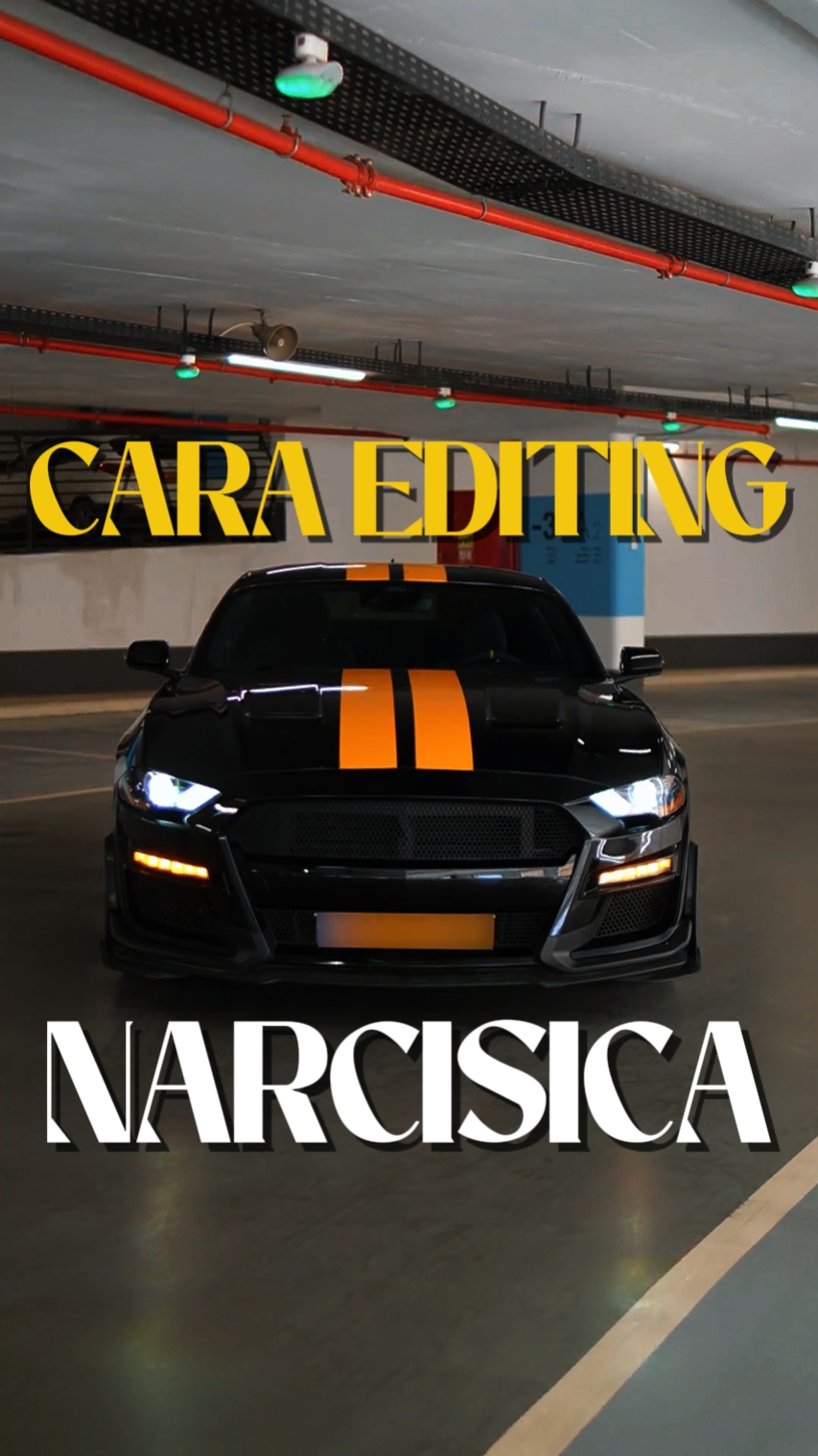 NARCÍSICA