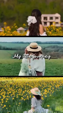 My little journey