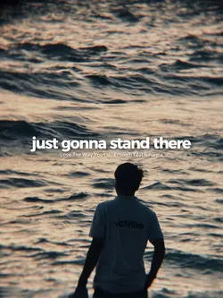 LOVE THE WAY YOU LIE