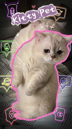 pet introduction