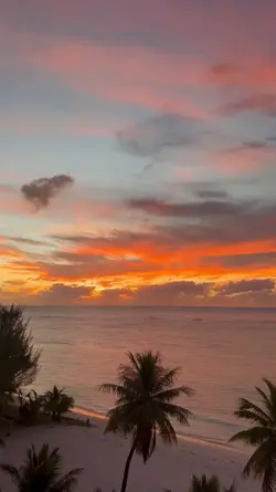 LIFE HARDS, NATURE H