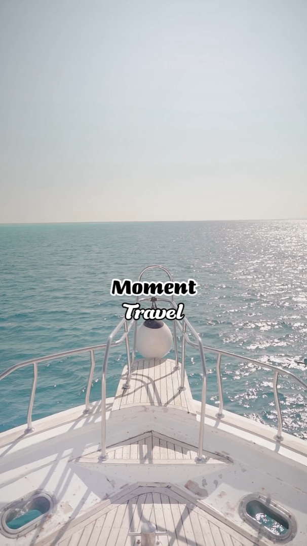 Time Travel