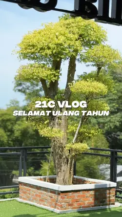 21C Vlog HBD