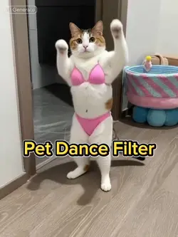 Pet Dance 