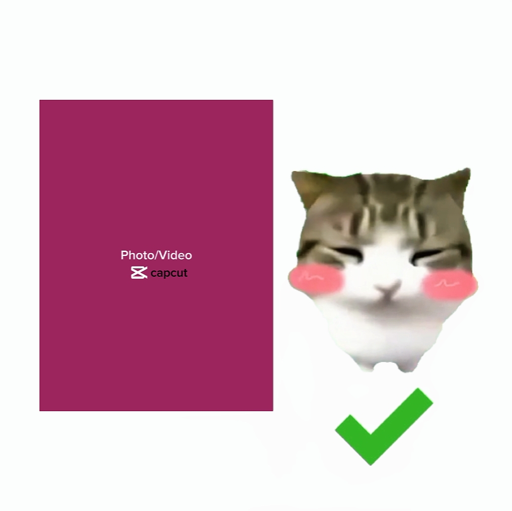 DAMDAM DIDIDI CAT