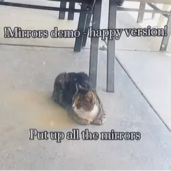 Mirrors Demo Happy