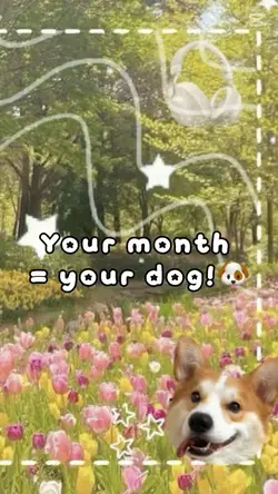 Your month your dog🐶