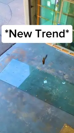New Trend 