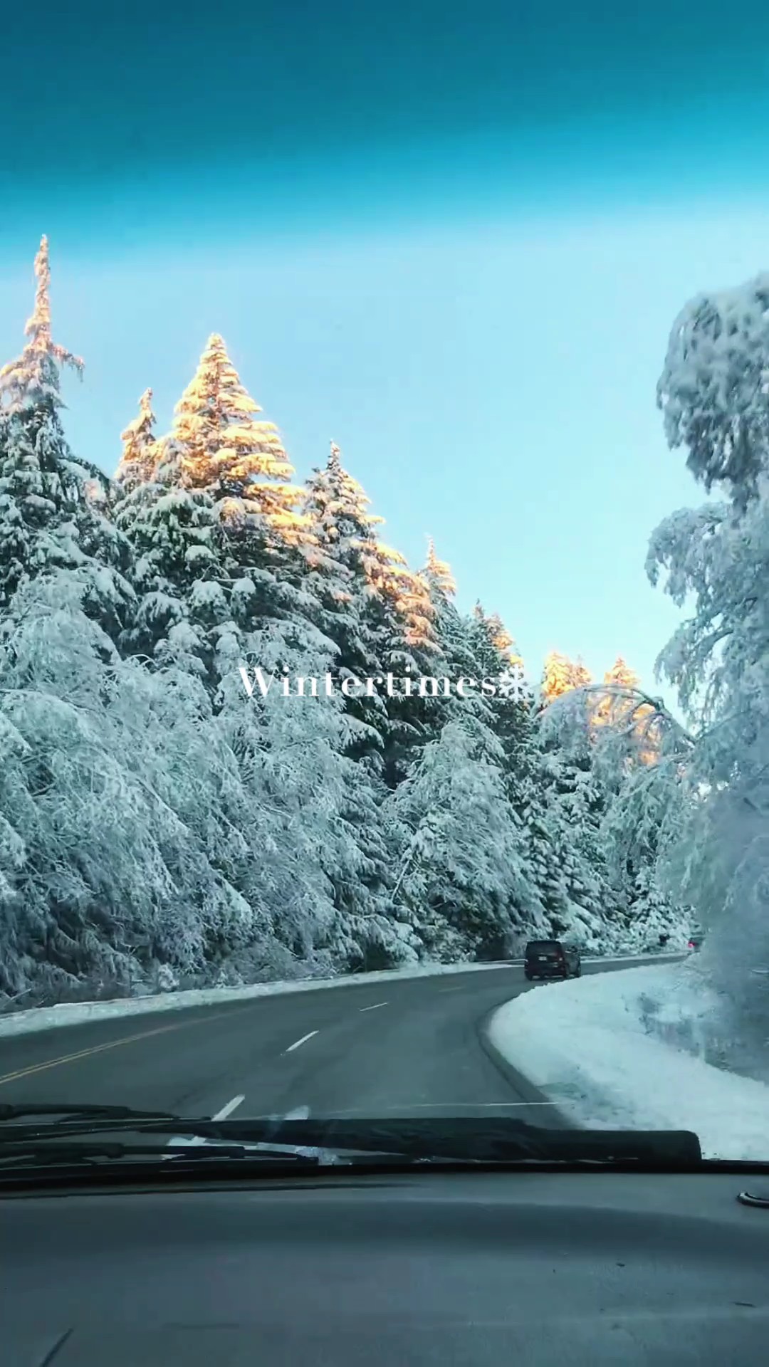 Tiempos de invierno