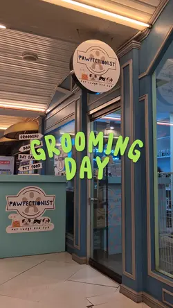 GROOMING DAY