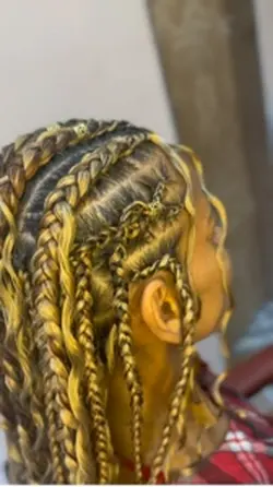 Fulani braids 