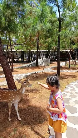 Kebun binatang