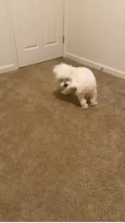 Spinning 😵‍💫 