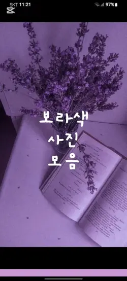 보라색 사진 모음