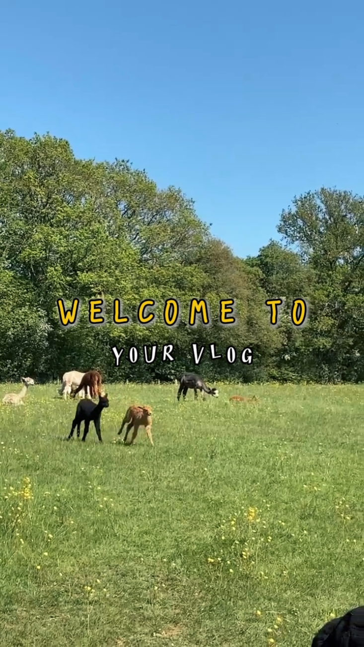 intro
