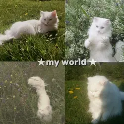 you will be my world