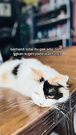 hnti total itu g ada