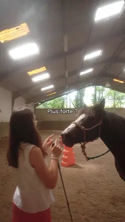 des éperons ?