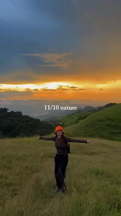 11/10 nature