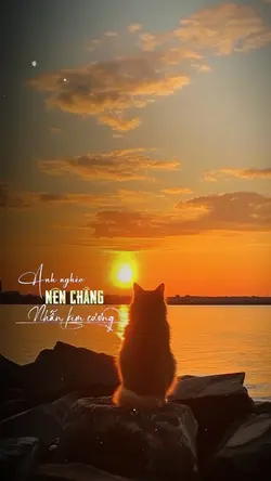 Nhẫn Cỏ Cho Em