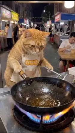 Fast cooking 